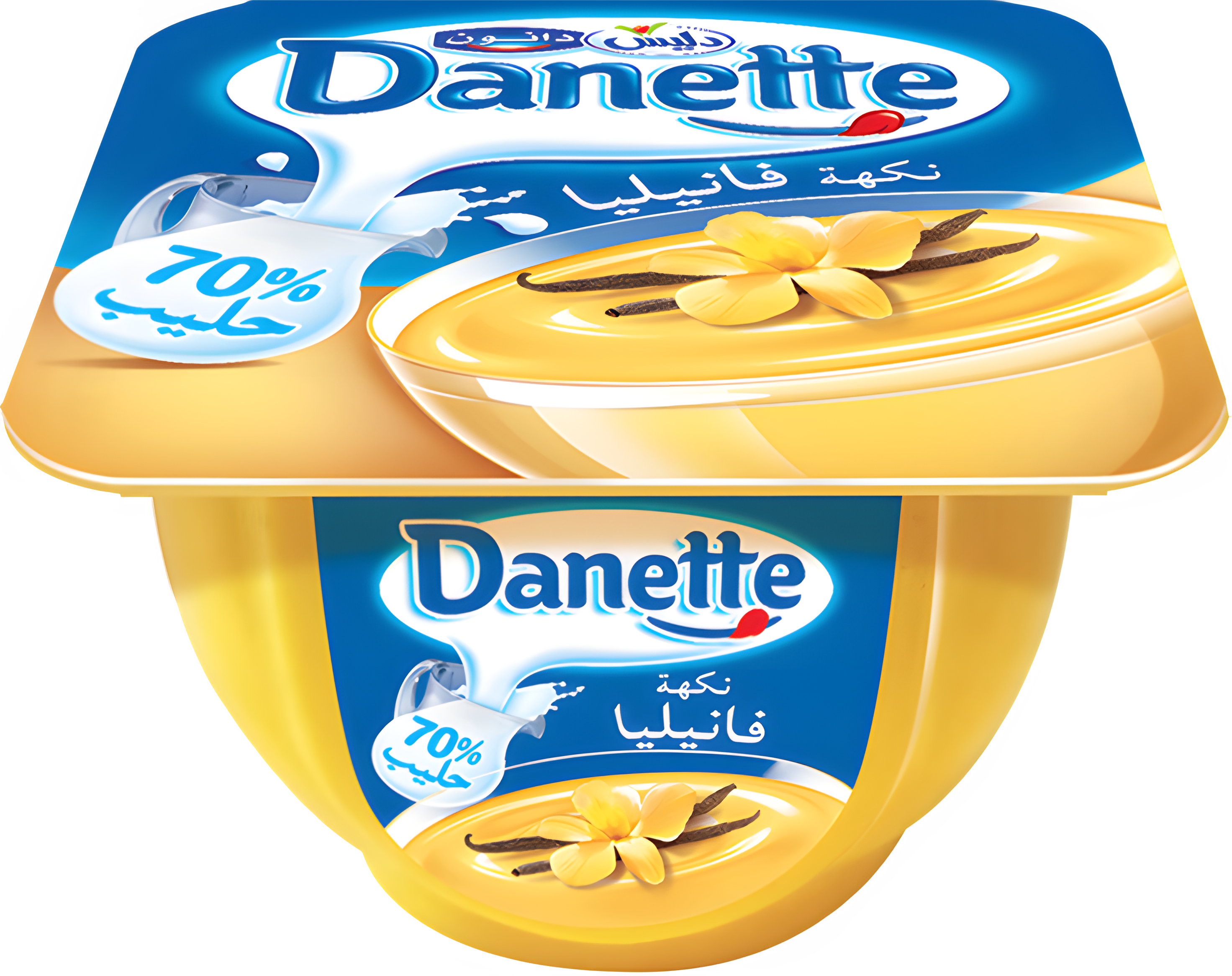 DANETTE VANILLE 1 (2)